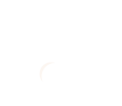 Four Paws Outlet